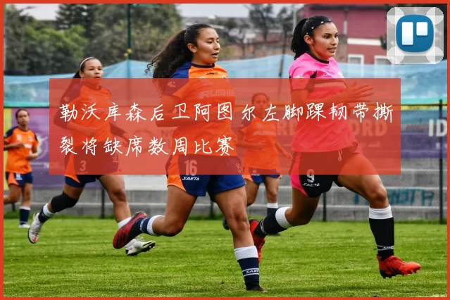 勒沃库森后卫阿图尔左脚踝韧带撕裂将缺席数周比赛