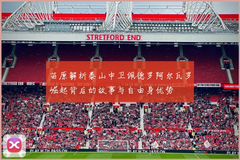 苗原解析泰山中卫佩德罗阿尔瓦罗崛起背后的故事与自由身优势